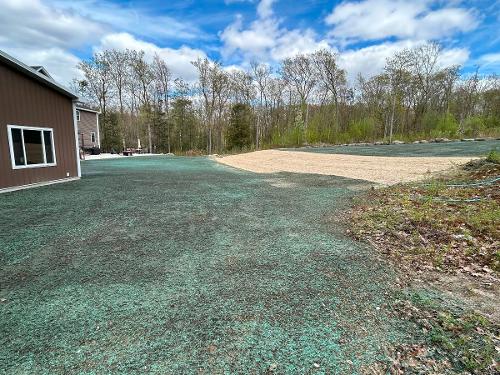 Seeding Reno