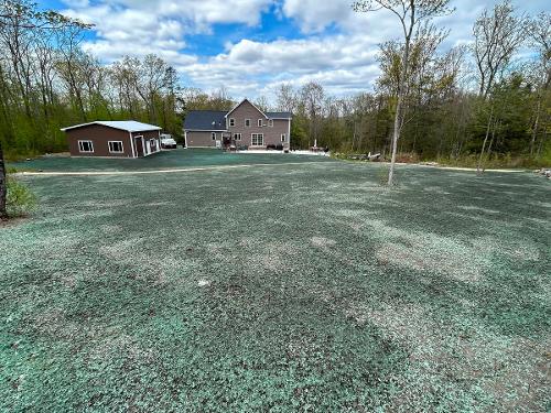 Hydroseeding Back Yard Reno